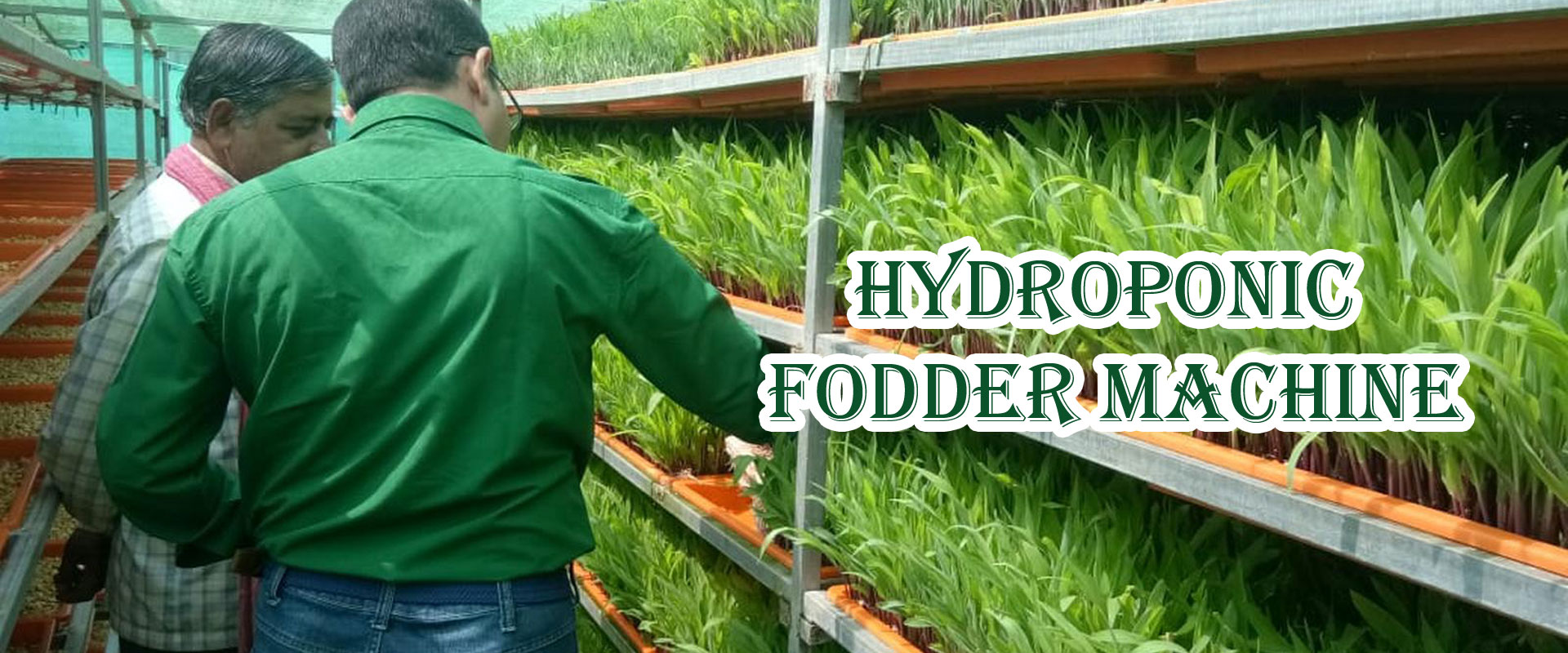 Hydroponic Fodder Machine