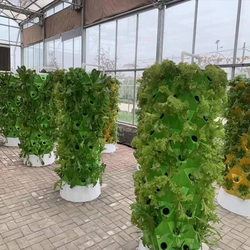 Vertical Aeroponic System